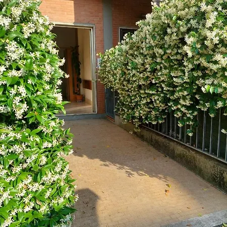Apartment Flowerence